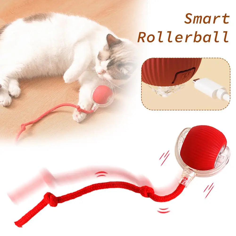 Pet Toys Interactive Rolling Ball Super Drive Rolling Balls for dogs With Bird Chirping Motion Activated Sensor Pet Toy Juguete para Perro