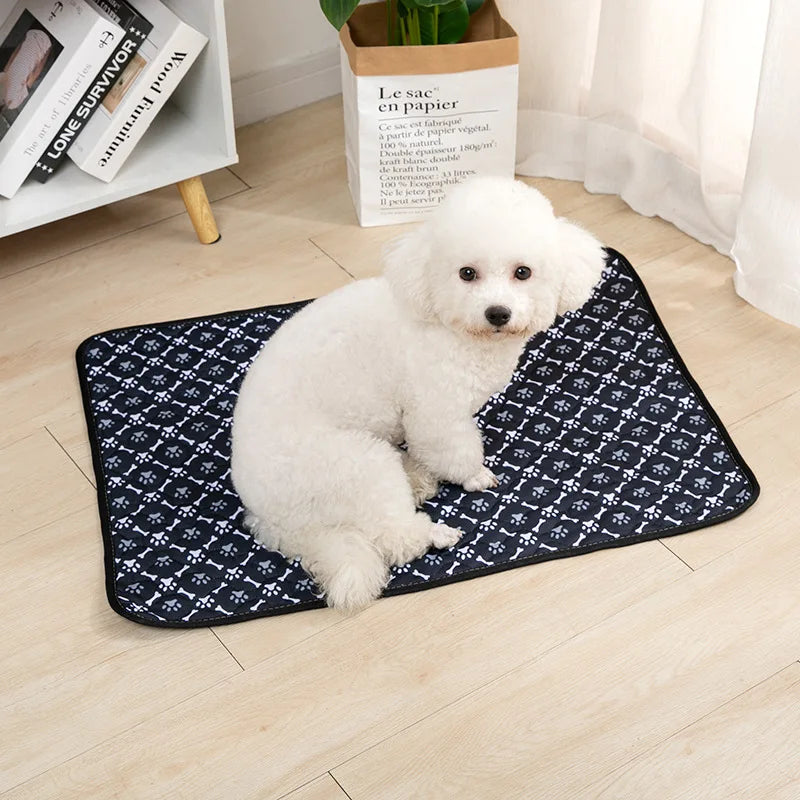 Pet Blanket Dog Pee Pad Blanket Reusable Absorbent Diaper Washable Puppy Training Pad Pet Bed Urine Mat for Pet Car Seat Cover Pet Supplies