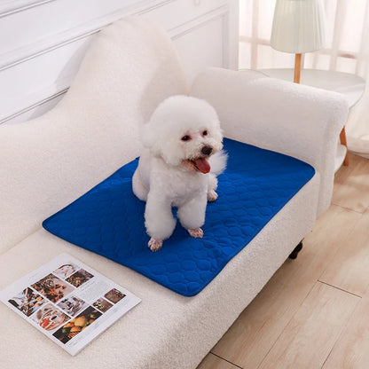 Pet Blanket Dog Pee Pad Blanket Reusable Absorbent Diaper Washable Puppy Training Pad Pet Bed Urine Mat for Pet Car Seat Cover Pet Supplies