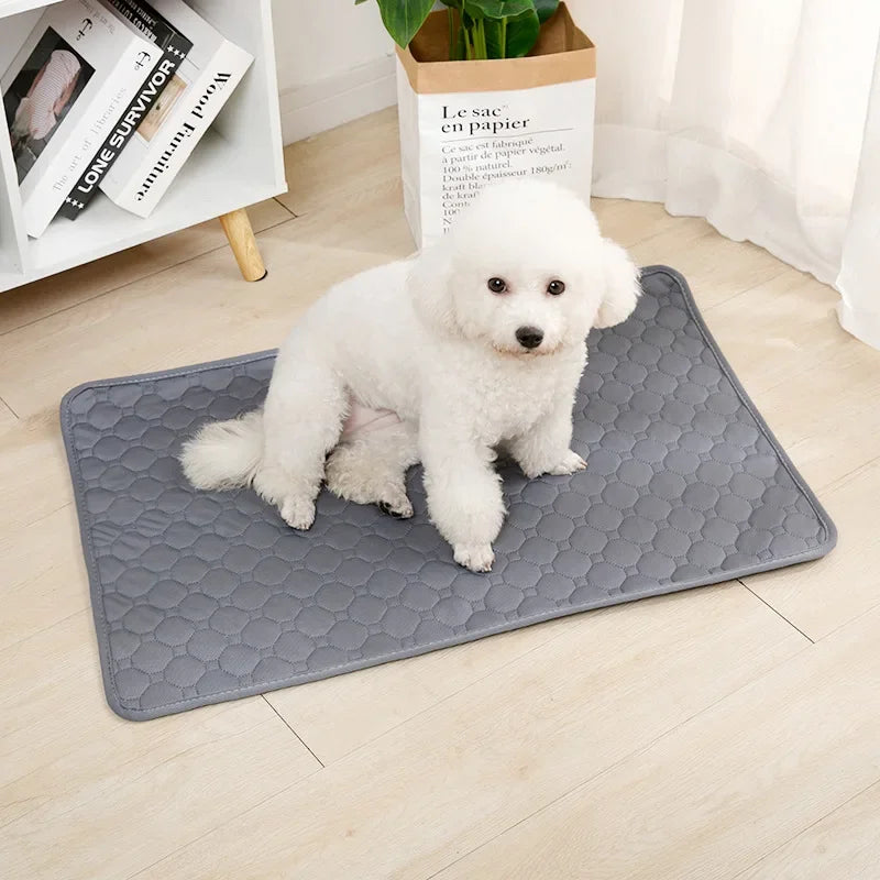 Pet Blanket Dog Pee Pad Blanket Reusable Absorbent Diaper Washable Puppy Training Pad Pet Bed Urine Mat for Pet Car Seat Cover Pet Supplies