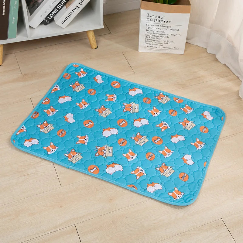 Pet Blanket Dog Pee Pad Blanket Reusable Absorbent Diaper Washable Puppy Training Pad Pet Bed Urine Mat for Pet Car Seat Cover Pet Supplies