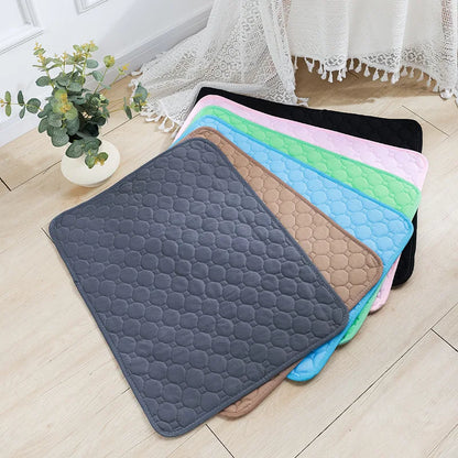 Pet Blanket Dog Pee Pad Blanket Reusable Absorbent Diaper Washable Puppy Training Pad Pet Bed Urine Mat for Pet Car Seat Cover Pet Supplies