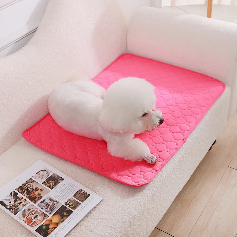 Pet Blanket Dog Pee Pad Blanket Reusable Absorbent Diaper Washable Puppy Training Pad Pet Bed Urine Mat for Pet Car Seat Cover Pet Supplies