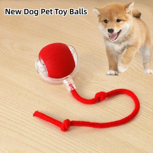 Pet Toys Interactive Dog Toys Rechargeable Interactive Toys Electric Automatic Rolling Fake Tail Ball Dog Juguete para Perro