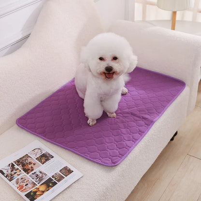 Pet Blanket Dog Pee Pad Blanket Reusable Absorbent Diaper Washable Puppy Training Pad Pet Bed Urine Mat for Pet Car Seat Cover Pet Supplies