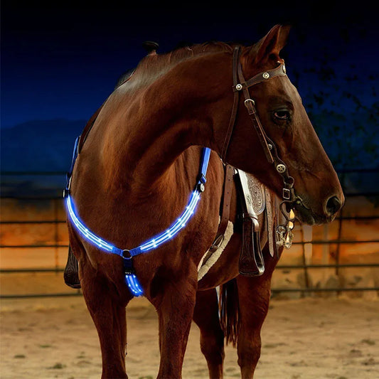 Horse tack USB Rechargable Horse Breastplate Harness Nylon Night Three Charging Wires Riding Equipment Outdoor Visible At Night