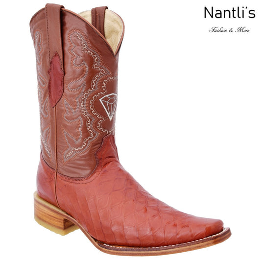 Botas Vaqueras TM-WD0205 - Western Boots